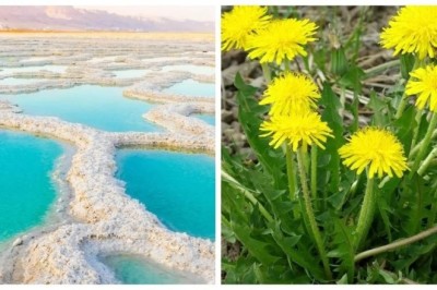 10 Mind-Blowing Facts That Will Change Your Perspective on the World!