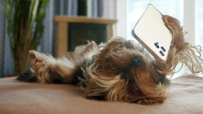 Tech-Savvy Tails: The Hilarious Adventures of a Yorkshire Terrier with a Smartphone