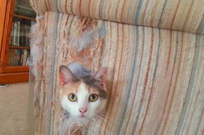 10 Incredible Vicks VapoRub Hacks You Never Knew Existed!