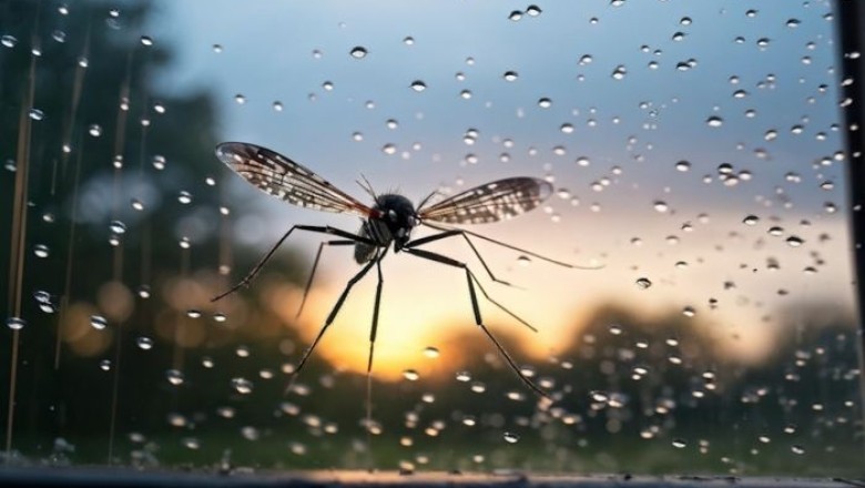 Soaring Above: How High Can Mosquitoes Really Fly?