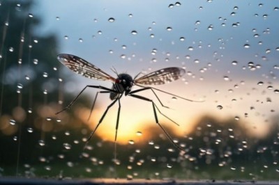 Soaring Above: How High Can Mosquitoes Really Fly?