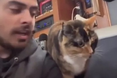 Sailing Beyond Limits: How One Man and His Cat Found Freedom Around the World