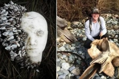 12 Insane Things People Found Washed Up on Beaches – You Won’t Believe