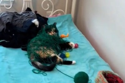 Does Water Freeze in Winter? Exploring the Science of Ice