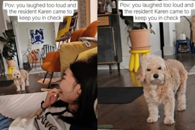 Ruby the Cavachon: The Adorable Pup Who Demands Quiet During Laugh Time!