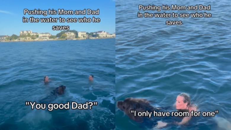 Watch Chewy the Newfoundland Dog's Heroic Rescue: Unbelievable Reaction When Parents Are Pushed into Water!