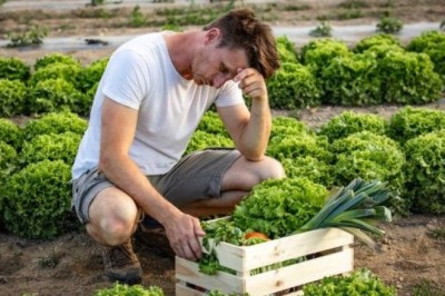 From Firing to Redemption: How a Millionaire's Son Learned the True Value of Legacy