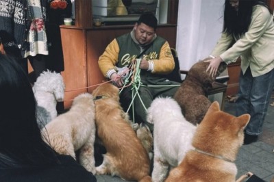Paw-sitive Vibes: 122 Dogs Set Record for the Cutest 'Sit' Challenge Ever!
