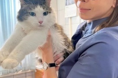 Cat Rescued After Getting Caught on Fishing Hook in Moscow