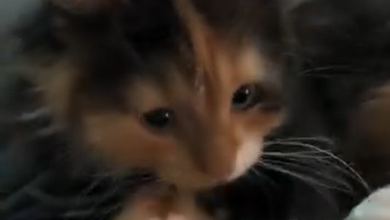 Mysterious &amp; Intriguing