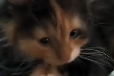 Mysterious & Intriguing