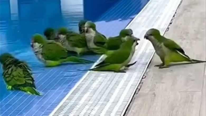 45 Hilarious Funny Videos That Will Make You LOL All Day Long!