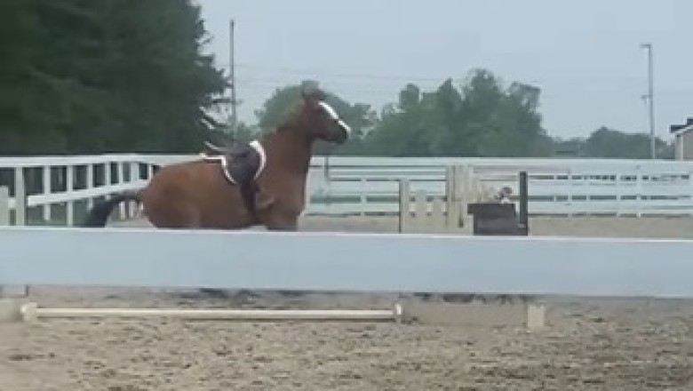 When Horses Have Had Enough: The Epic Moment a Rider Gets Dropped!