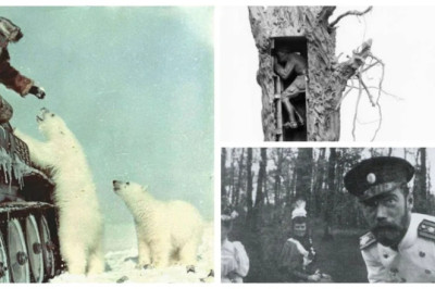 30 Amazing Historical Photos That Will Change How You See the Past!