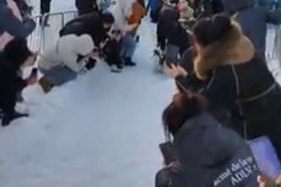 When Penguins Take Over: Hilarious Delegation Arrival You Can't Miss!