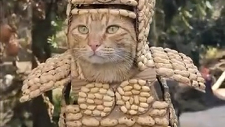 Cat in Disguise: The Fur-tive Fashion Icon You Need to See