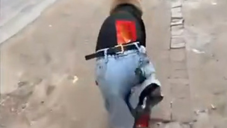 Dog in Disguise: The Canine Spy in a Tail-Wagging Trench Coat