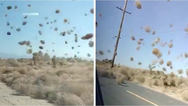 “Los Angeles’ Rare Dust Devils: Nature’s Mini Tornado Spectacle!”