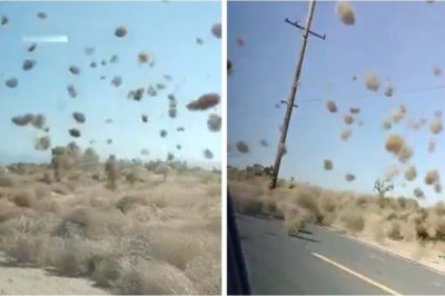 “Los Angeles’ Rare Dust Devils: Nature’s Mini Tornado Spectacle!”