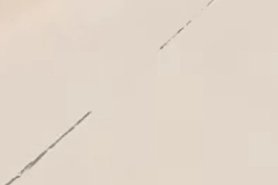 Street Encounter: Dogs Say Hello Like Pro BFFs