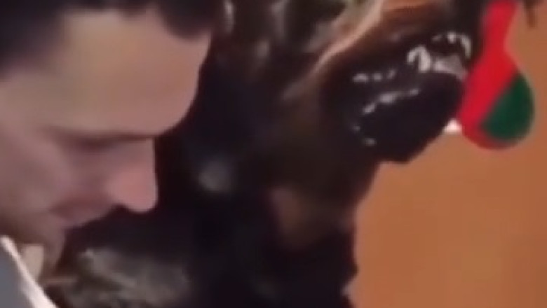 Nail trimming finally made EASY for dogs (watch the transformation!)