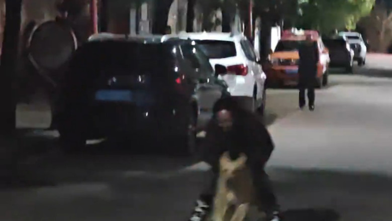 Adorable Golden Retriever Runs Between Skater’s Legs in Yunnan, China!