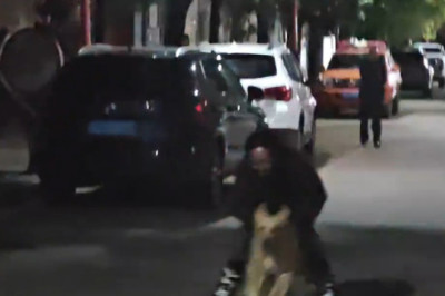 Adorable Golden Retriever Runs Between Skater’s Legs in Yunnan, China!