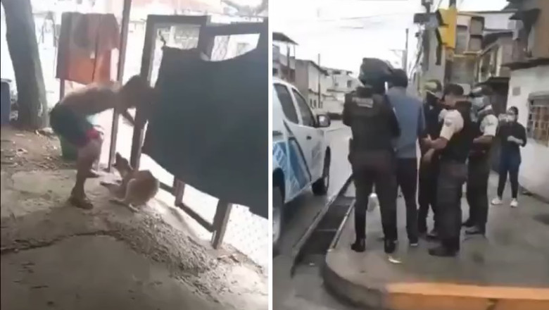 New state law to increase penalties for animal abuse, neglect