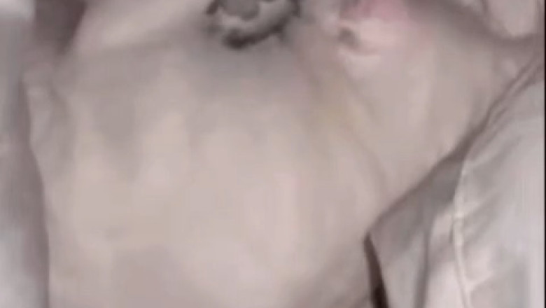 This Cat's Sleep Pose Is So Ridiculous, It Broke The Internet!