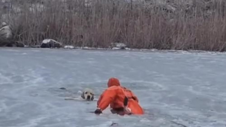 POV: You're watching a real-life hero in action.