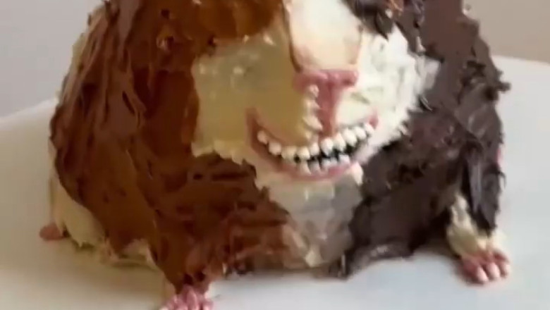 Monday Mood: Guinea Hamsters Bake a Cake