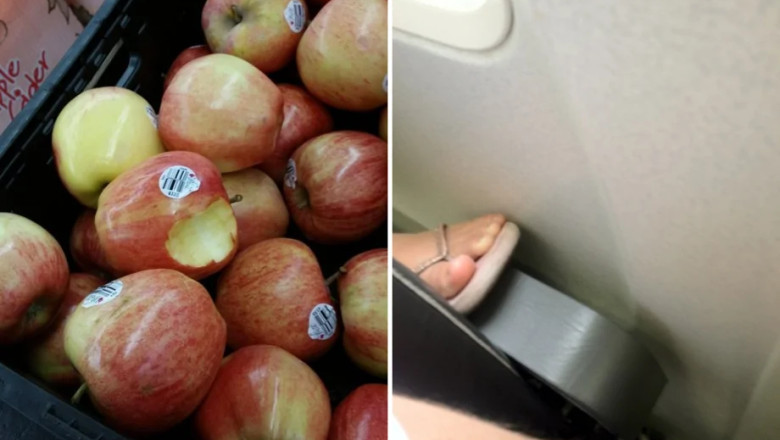 14 Photos That Will Make You Lose Your Cool (And Laugh Through the Rage)
