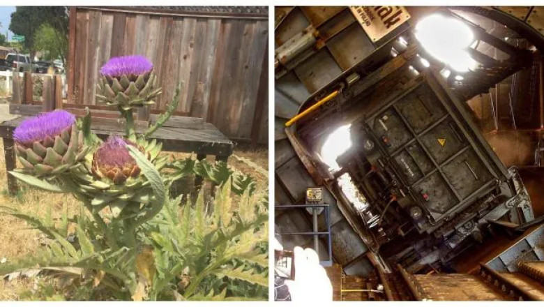 18 Curious Photos That Reveal the Hidden Side of Everyday Things