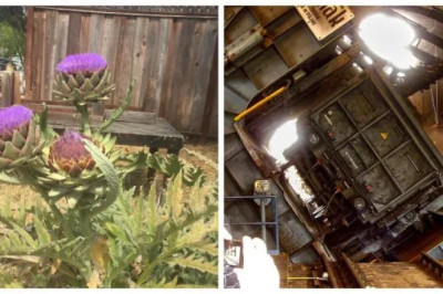 18 Curious Photos That Reveal the Hidden Side of Everyday Things