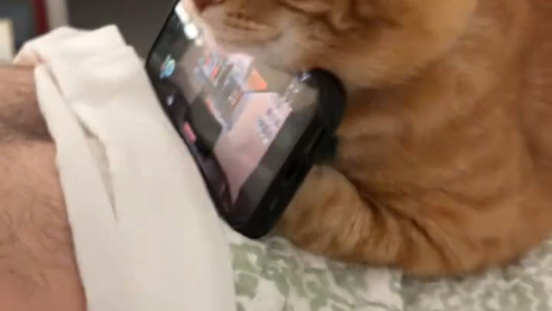 I Found the "Best" Phone Stand – It's a Disaster
