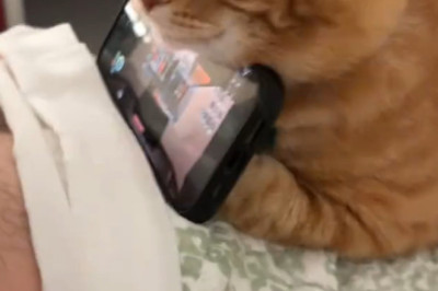 I Found the "Best" Phone Stand – It's a Disaster