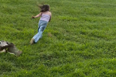 A Mother Duck’s Fear – Why She Chased That Child