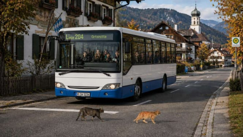 'We're Going to Run Over This Big Beast': Schoolchildren Beg Bus Driver to Spare Kitten, But He Coldly Accelerates