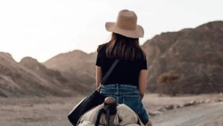 Humped to Death by a Pet Camel: A Tragic Incident Shocks Community