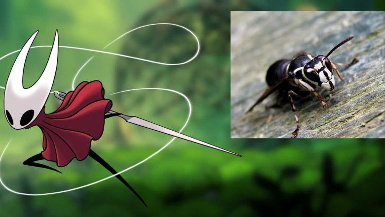 Silksong's Insect Identity: Mapping Pharloom's Cast to Real-World Bugs