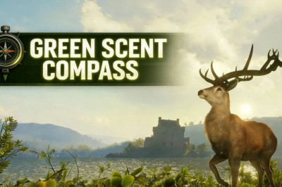 Call of the Wild Patch 9.3: Green Scent Cone Mastery for 2026